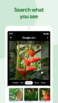 #6 - Software screenshot