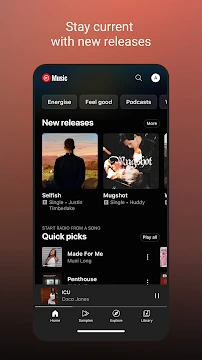 #1 - Software screenshot